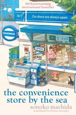 Book cover for The Convenience Store by the Sea